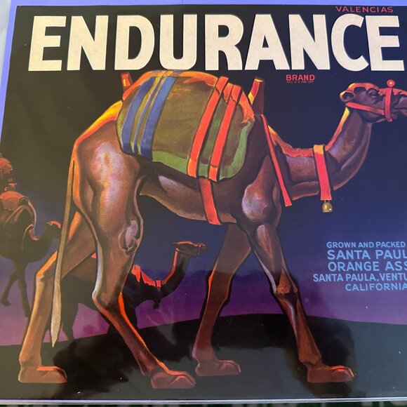 Authentic Citrus Farm Crate Label Endurance - Picture 1 of 1